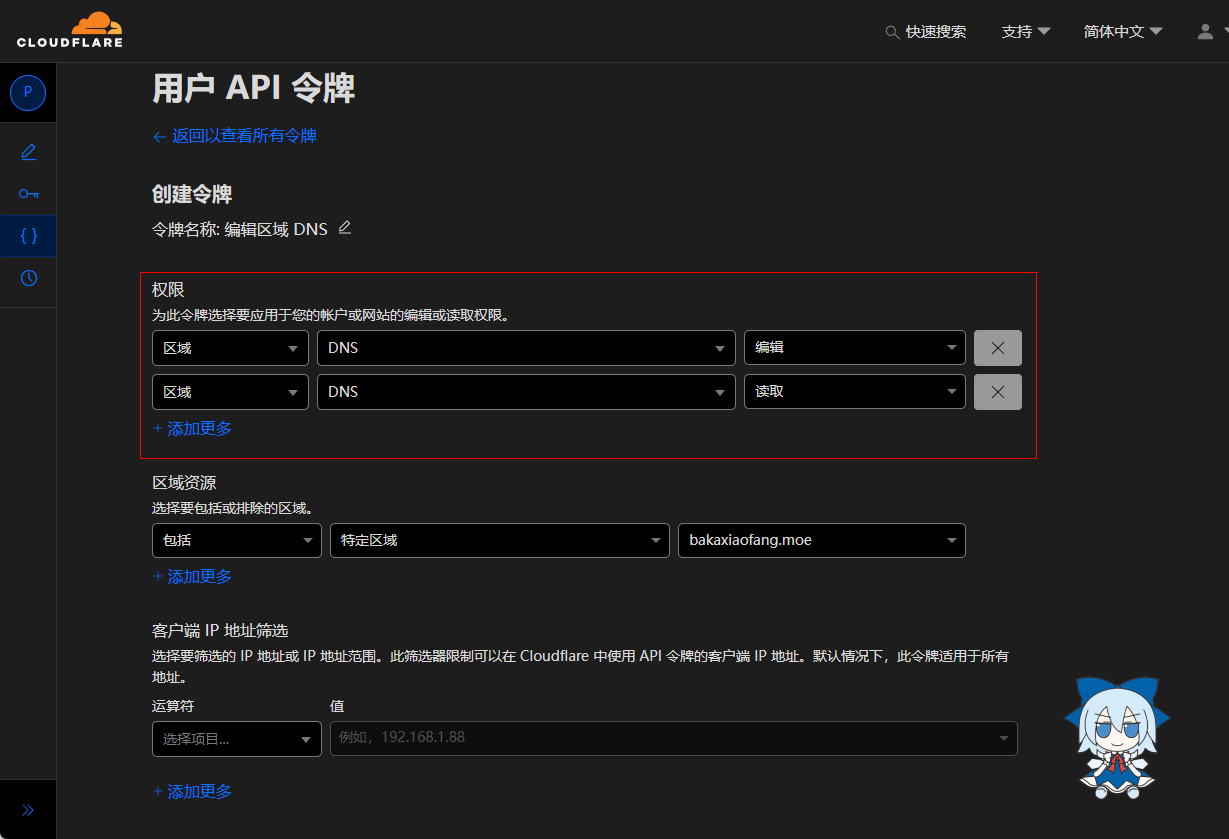 DNS 读取