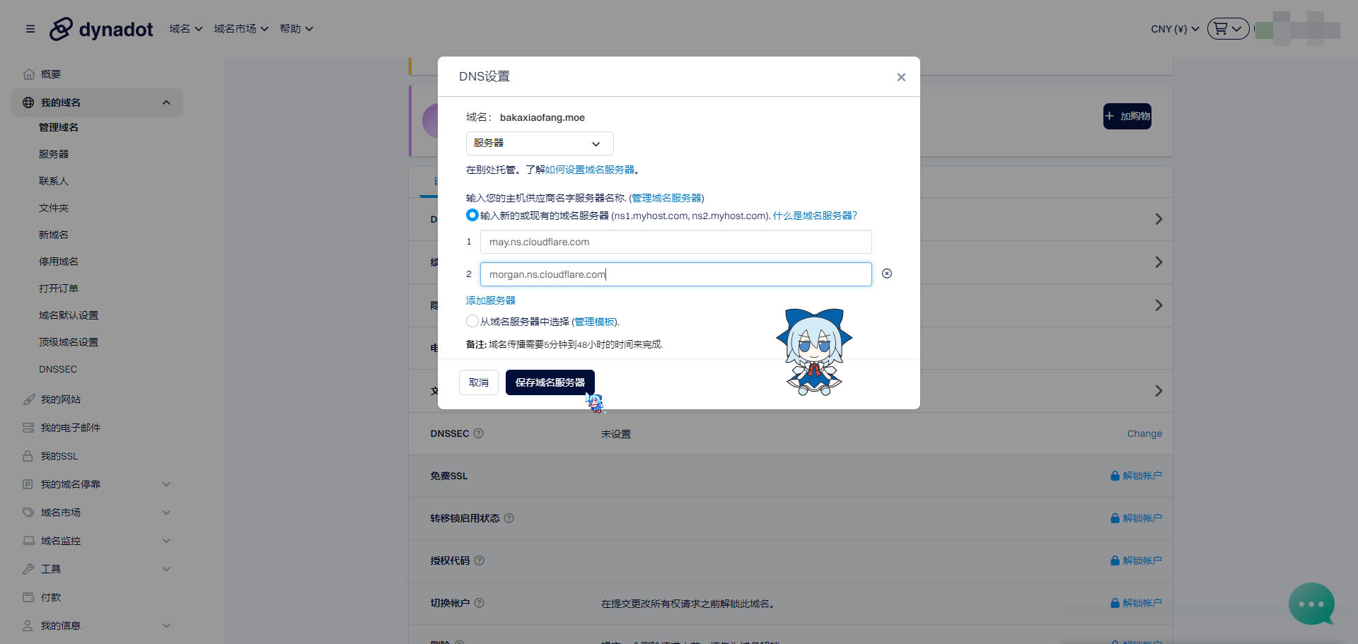 保存域名服务器
